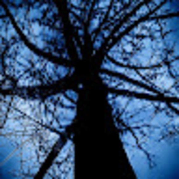 Meet your Posher, Vanessa - Picture 1 of 1